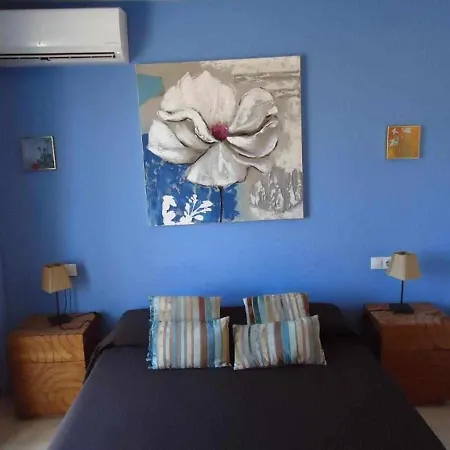 Anju 1 Apartment Cotillo